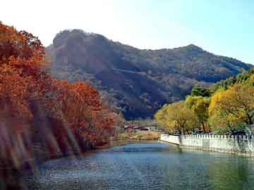 澳门天天开奖免费资料，莱芜地震